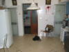 100-0003 IMG