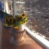 architettifava-hotelmaxim05